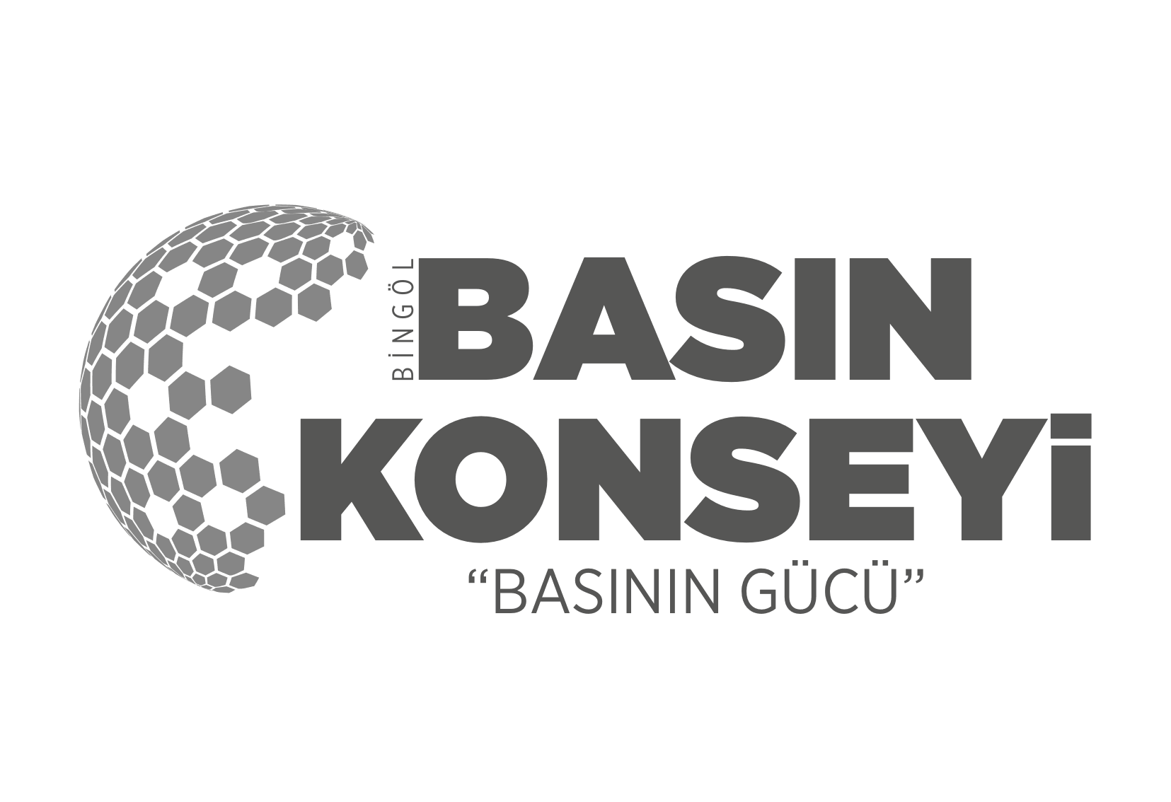 Bingöl Basın Konseyi